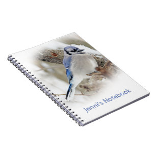 Blaues Jay im Winter-Schnee Notizblock