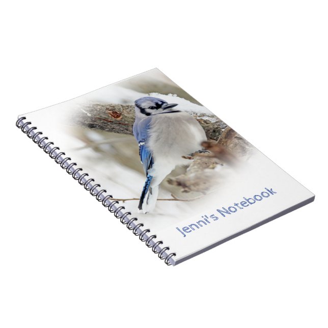 Blaues Jay im Winter-Schnee Notizblock (Rechte Seite)