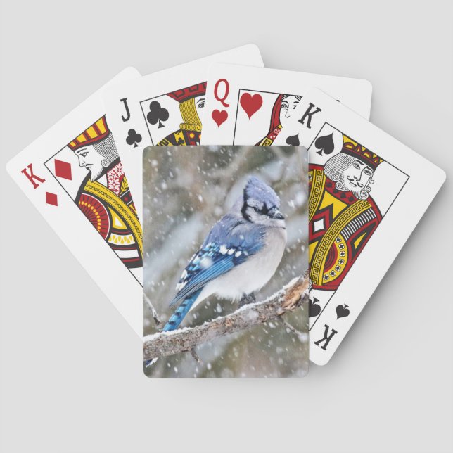 Blaues Jay in einem Schneesturm Spielkarten (Rückseite)