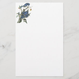 Blaues Jay, John Audubon Briefpapier