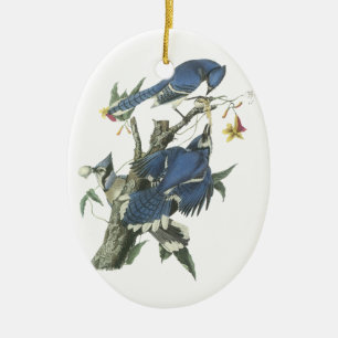Blaues Jay, John Audubon Keramik Ornament