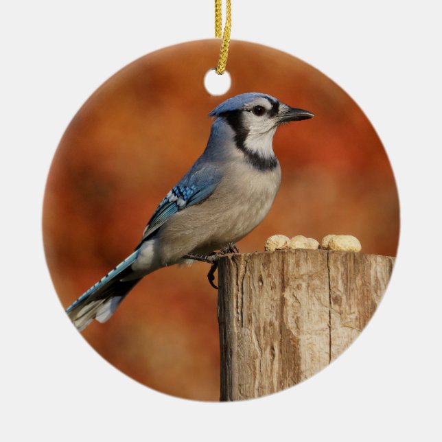 Blaues Jay Keramik Ornament (Vorne)