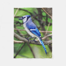 Blaues Jay-kleine Fleece-Decke