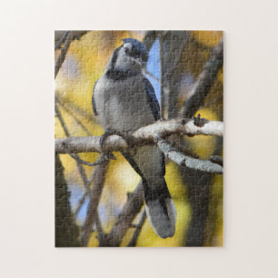 Blaues Jay-Puzzlespiel Puzzle