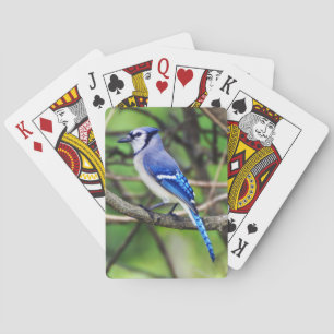 Blaues Jay-Spielkarten Spielkarten