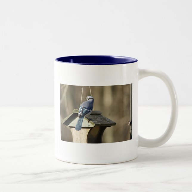 Blaues Jay versieht Tasse mit Federn (Rechts)