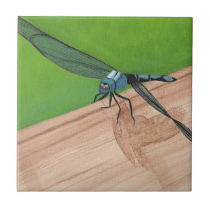 Blaues Libelle-Insekt auf Gleisrücken Fliese