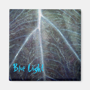 Blaues Licht Magnet
