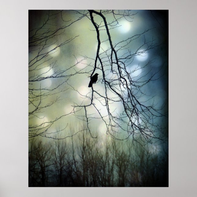 Blaues Licht Poster (Vorne)