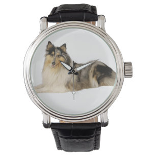 blaues merle raues Collielegen Armbanduhr