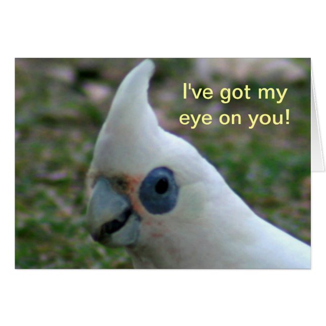 Blaues Mit Augen Cockatoo (Vorderseite (Horizontal))