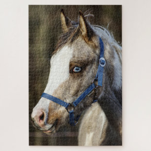 Blaues Mit Augen Fohlen Puzzle