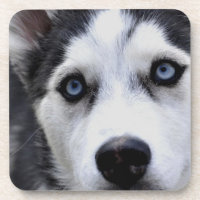 Blaues mit Augen heiseres Set von sechs