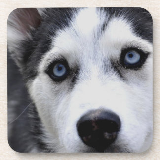 Blaues mit Augen heiseres Set von sechs Untersetzer