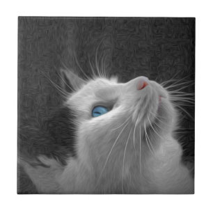 Blaues mit Augen Katzen-Foto Fliese