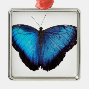 Blaues Morpho Butterflie Ornament Aus Metall