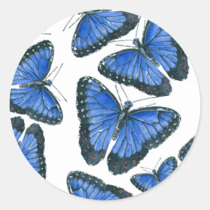 Blaues Morphon-Schmetterling-Muster Runder Aufkleber