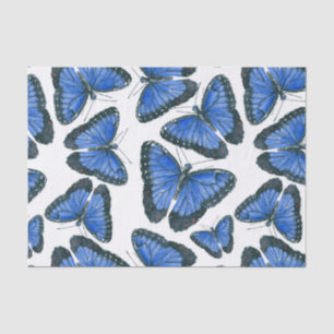 Blaues Morphon-Schmetterling-Muster Seidenpapier