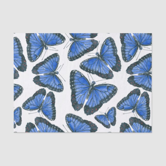 Blaues Morphon-Schmetterling-Muster Seidenpapier (Vorderseite)