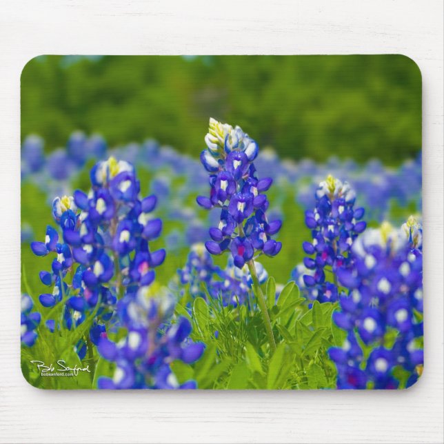Blaues Mützen Texas mousepad (Vorne)