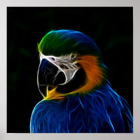 Blaues Papagei-Fraktal