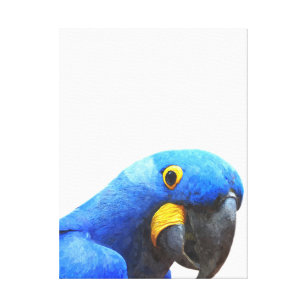 Blaues Papagei-Portrait Leinwanddruck