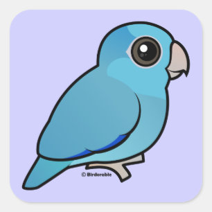 Blaues pazifisches Parrotlet Quadratischer Aufkleber