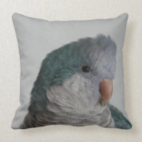 Blaues Quäker-Papageien-Kissen
