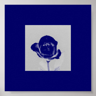 Blaues Rosen-Plakat Poster