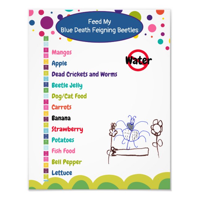 Blaues Sterben - Käfer-Schutzschild Fotodruck (Vorne)