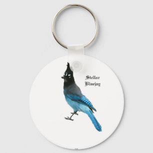 Blaues SternJay-Schlüsselkette Schlüsselanhänger