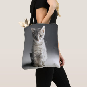 Blaues Tabby-Kätzchen