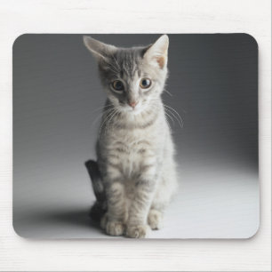 Blaues Tabby-Kätzchen Mousepad