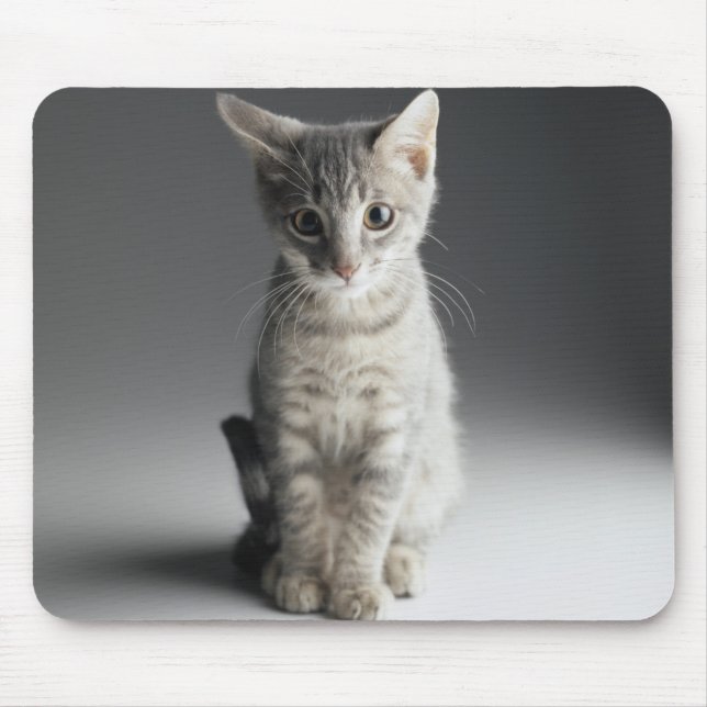 Blaues Tabby-Kätzchen Mousepad (Vorne)