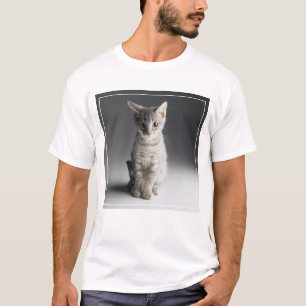 Blaues Tabby-Kätzchen T-Shirt