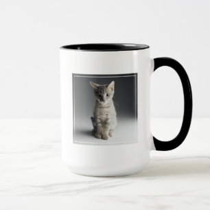 Blaues Tabby-Kätzchen Tasse