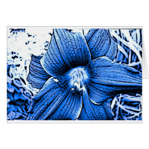 Blaues Tigerlilly