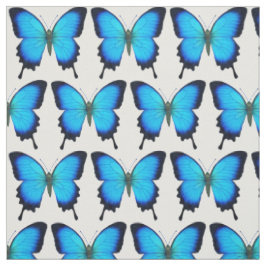 Blaues Ulysses-Frack-Schmetterlings-Gewebe Stoff