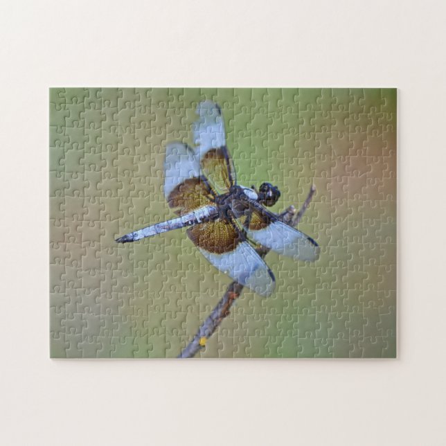 Blaues und braunes Dragonfly-Insektenschutzpuzzle Puzzle (Horizontal)