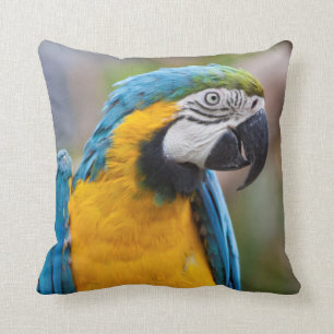 Blaues und gelbes Macaw-Kissen Kissen