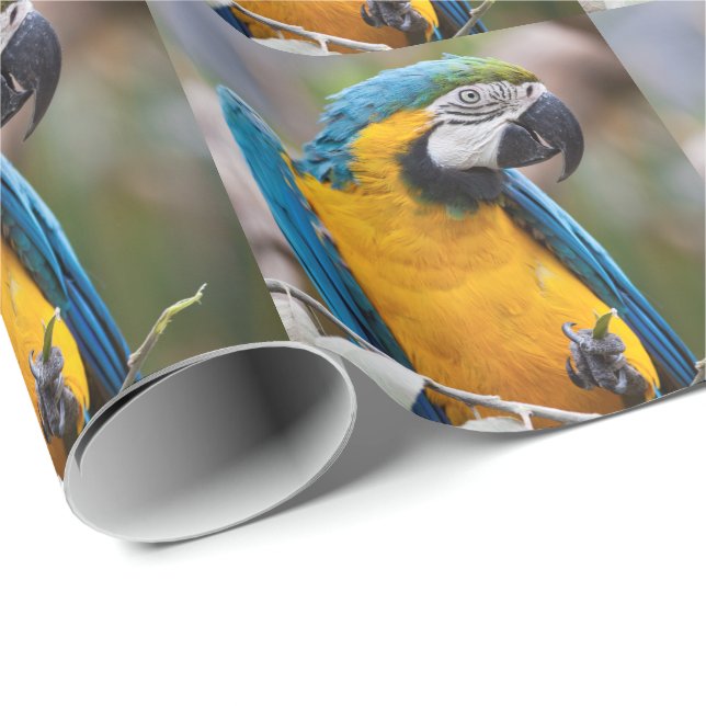 Blaues und gelbes Macaw-Packpapier Geschenkpapier (Rolleneckpunkt)