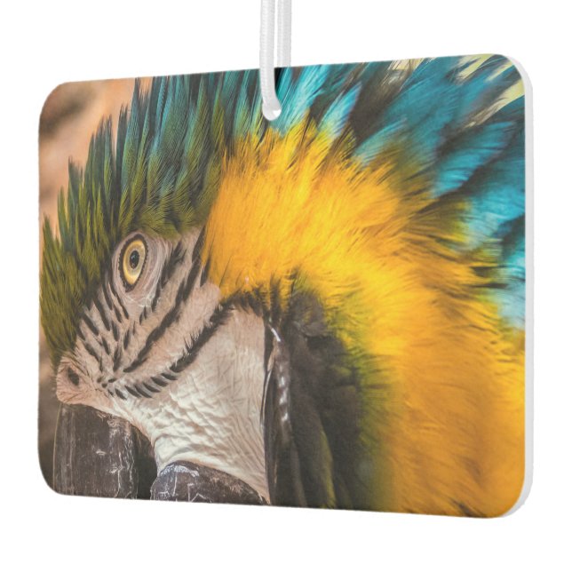 Blaues und gelbes Makaportrait Autolufterfrischer (Links)