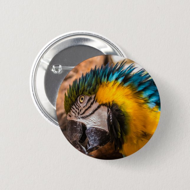 Blaues und gelbes Makaportrait Button (Vorne & Hinten)