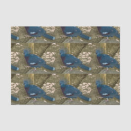 Blaues Vogelgefechtpapier Seidenpapier