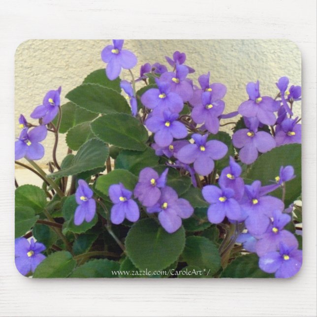 Blaueste blaue Veilchen Mousepad (Vorne)