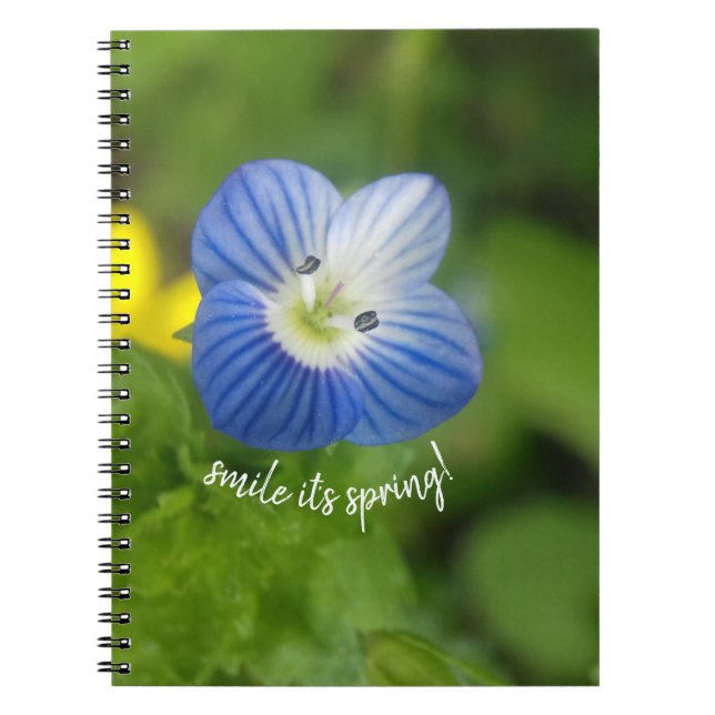 Blaufeder - Notebook Notizblock (Vorderseite)