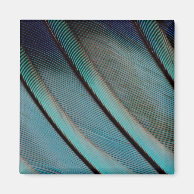 Blaufedermuster Magnet (Vorne)