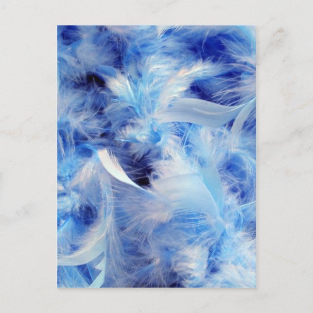 Blaufedern Postkarte (Vorderseite)