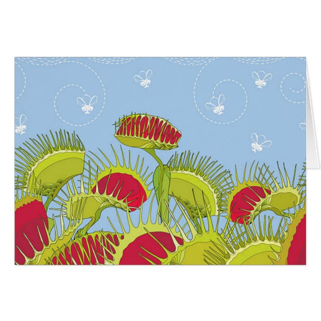 Blaufliegenfliege (Vorderseite (Horizontal))