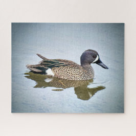 Blauflügelige Aquamarin Puzzle